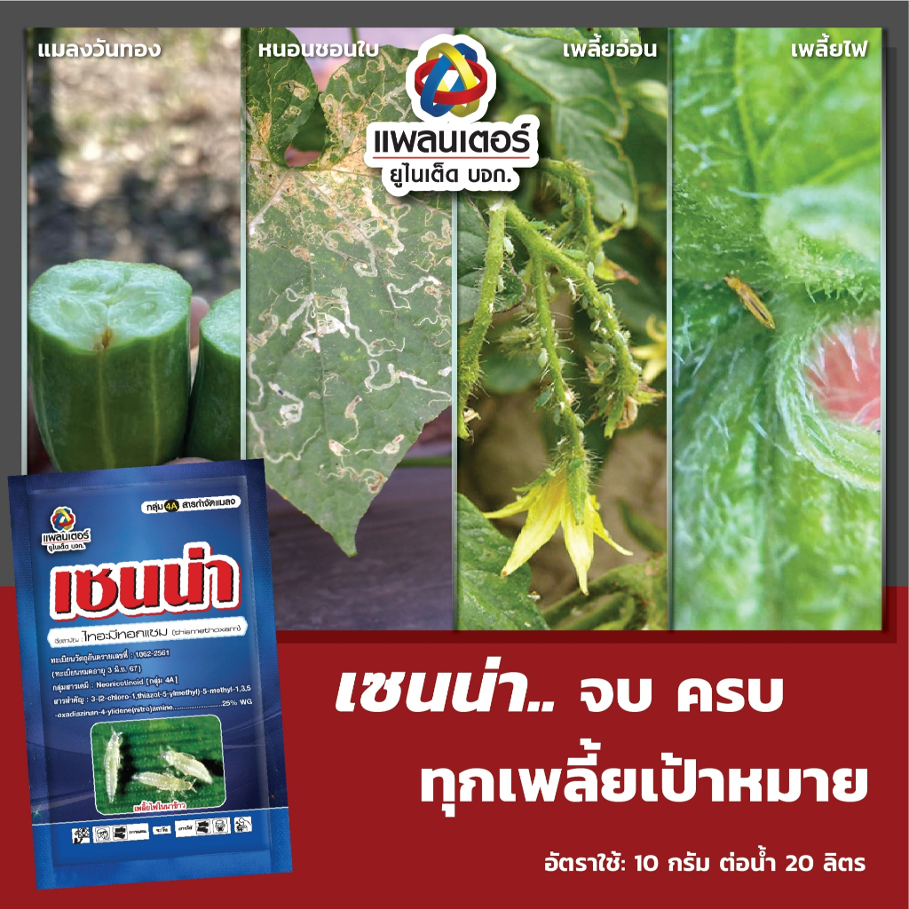 Thumbnail 5