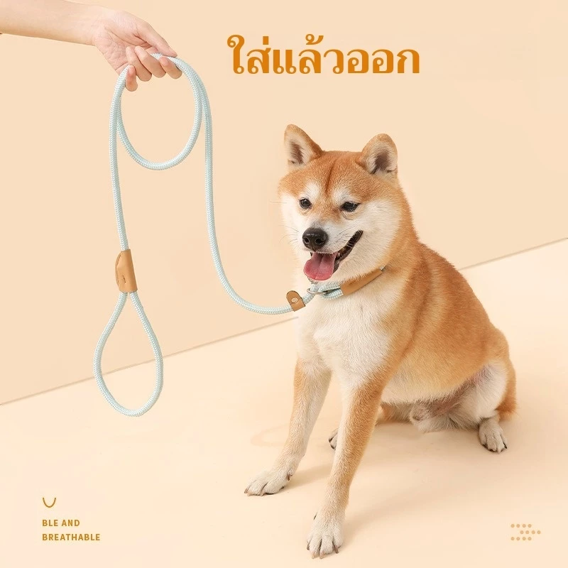 สายจูงสุนัข 🐶 สำหรับพันธุ์กลาง-ใหญ่ 🌈 มีหลายสี หลายไซส์ สายจูงหมา จูงสัตว์เลี้ยง ดีไซน์สวยมาก ✨