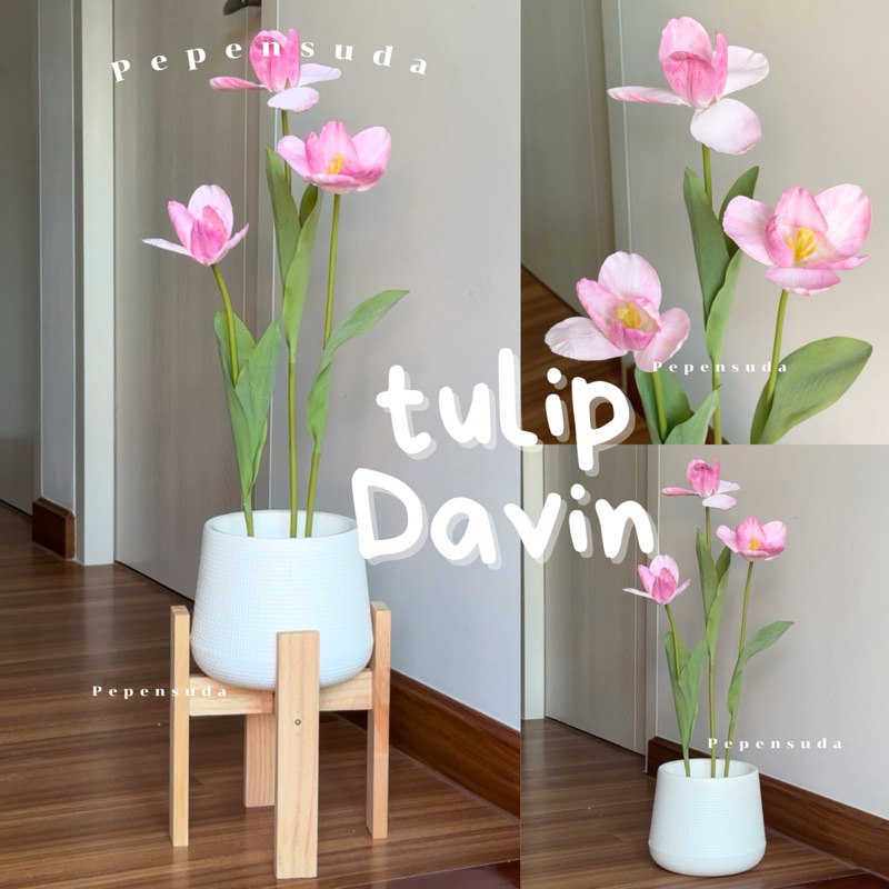 ต้นทิวลิปดาร์วิน ชมพู🌷 สูง 70-90 ซม.พร้อมกระถางโมเดิร์นฟรี!!หินโรยตกแต่ง ต้นไม้เสมือนจริง
