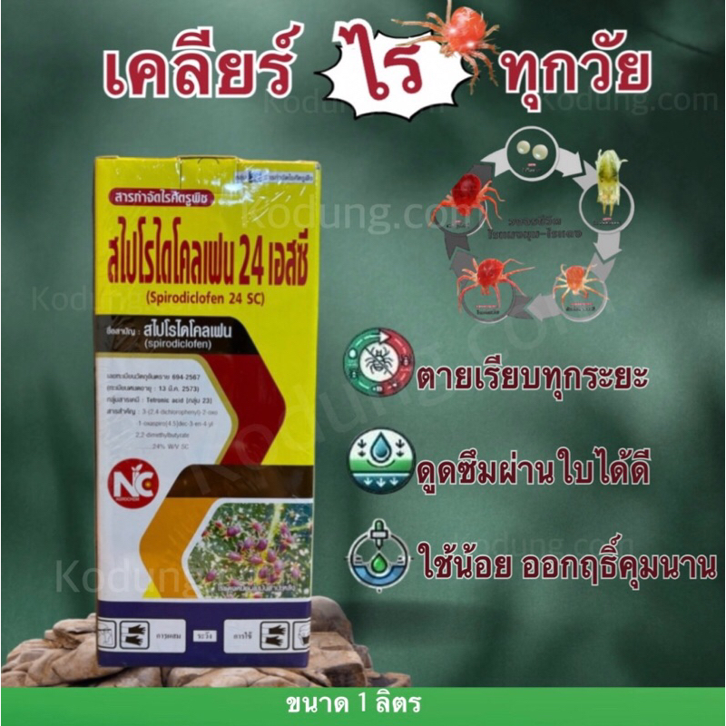 สไปโรไดโคลเฟน 24% สารกลุ่มเดียวกับโอเบรอน -1 ลิตร