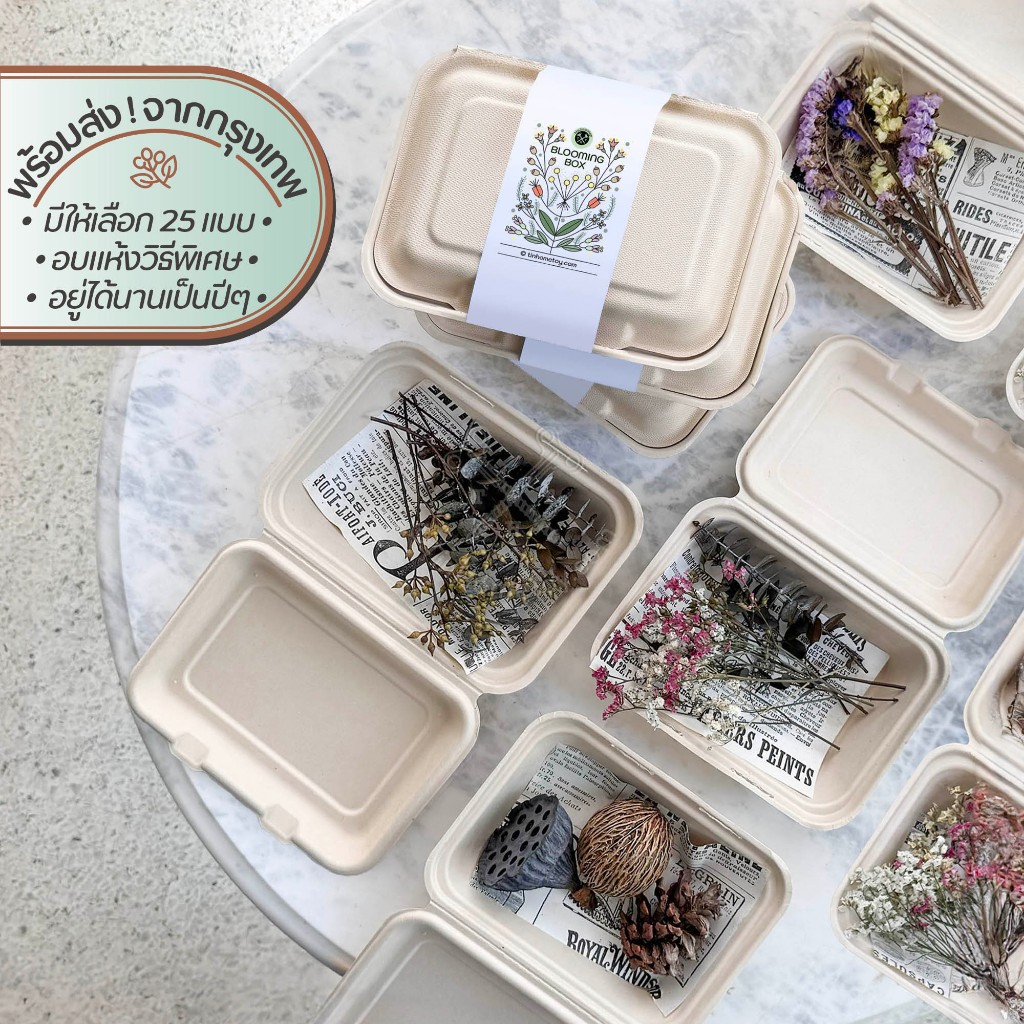 Blooming Box กล่องของขวัญดอกไม้แห้ง | อบ แห้ง ธัญพืช ต้นไม้ ดอกไม้ ใบไม้ ไม้เลื้อย ไม้ประดับ กิ่ง ก้าน ของขวัญ แจกัน