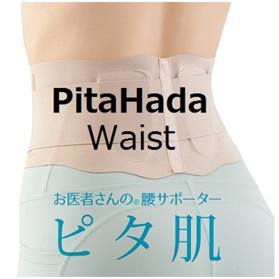 Alphax  "PitaHada Waist Supporter" (Size) M-L/L-LL