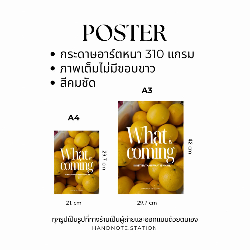 โปสเตอร์ลายผลไม้ โปสเตอร์ตกแต่งห้อง โปสเตอร์ขนาด A4-A3 โปสเตอร์ภาพถ่าย  Poster – Handnote Station ราคา ถูกที่สุด ดีลบีเคเค แกลเลอรีภาพที่ 4