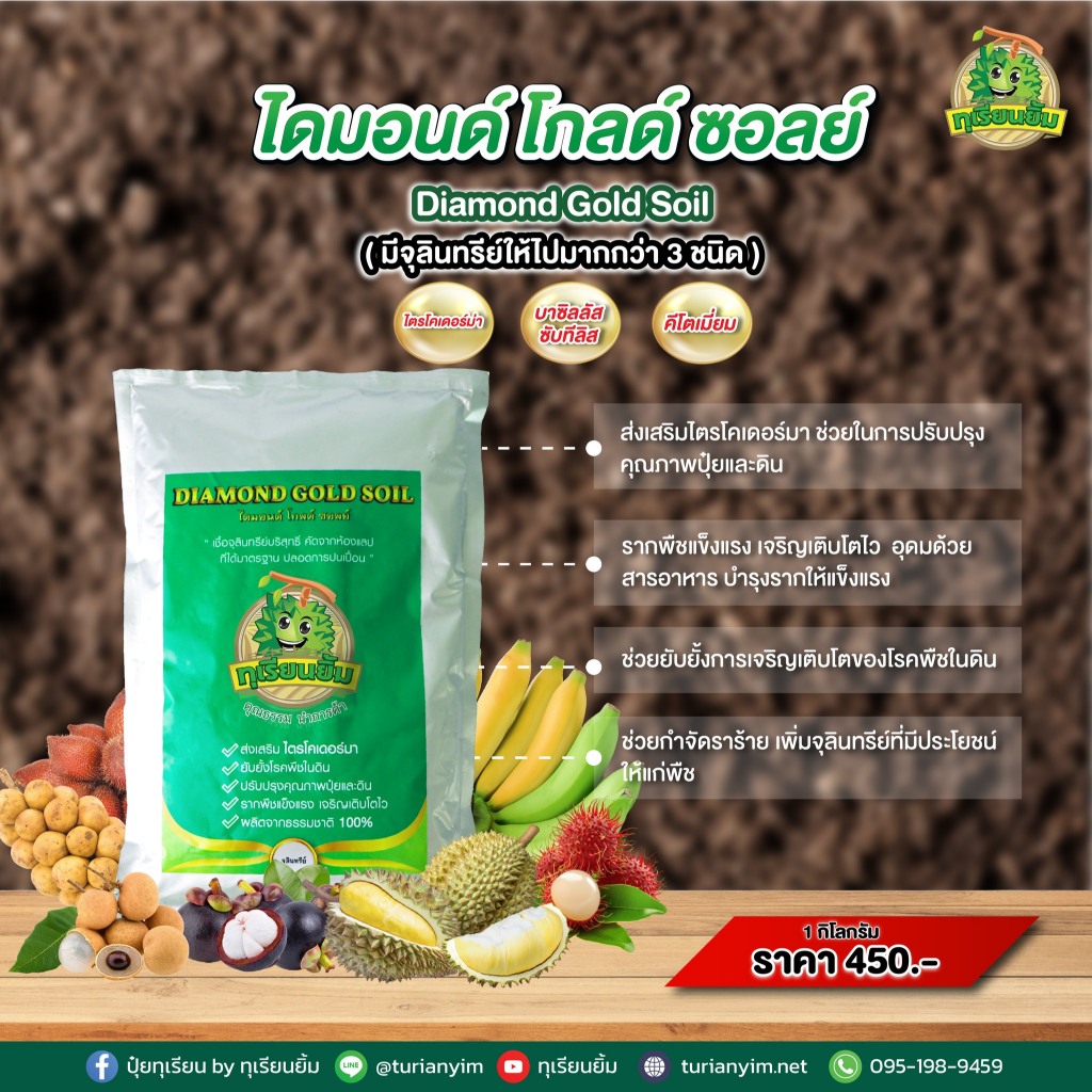 ไดมอนด์ โกลด์ ซอลย์ จุลิยทรีย์ 3 ชนิด กำจัด ป้องกัน รักษาโรค ไตรโคเดอร์มา-บาซิลลัส ซับทีลิส-คีโตเมี่ยม ขนาด 1 กิโลกรัม