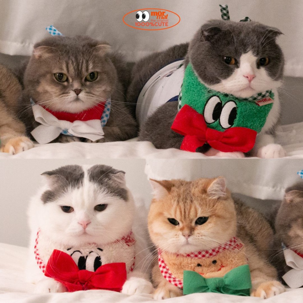 PET BIB MORMAT CHRISTMAS COLLECTION ผ้าพันคอคริสมาสต์มีไฟ ชุดน้องหมาน้องแมว เครื่องหัวmormat ชุดขนมปังขิง ชุดซาต้ามีไฟ