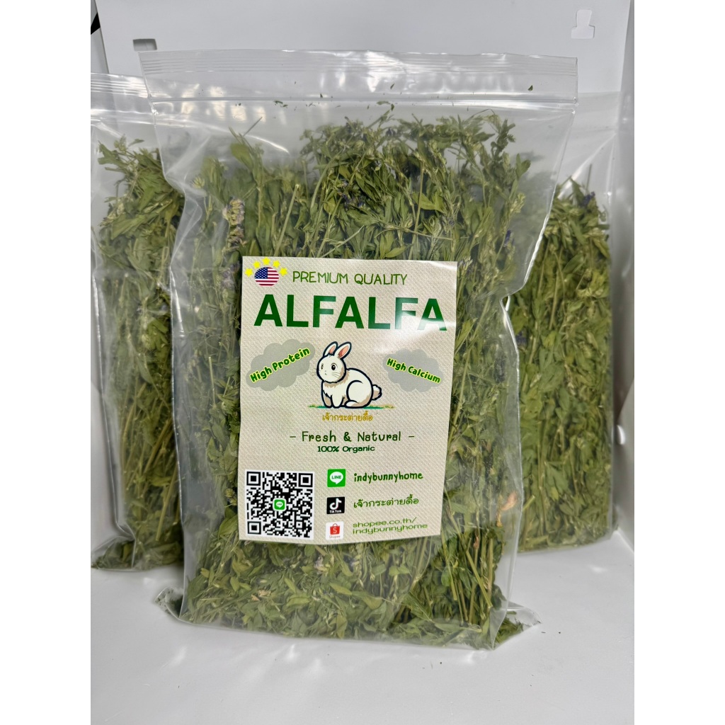 Super Premium Alfalfa หญ้าอัลฟาฟ่าพรีเมี่ยม คัดเฉพาะยอด ดอกและใบเยอะ เขียว สด ใหม่