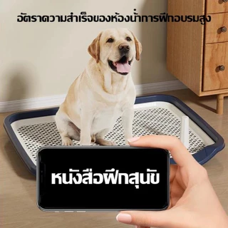 ห้องน้ำสุนัข ถาดรองฉี่สุนัข ถาดฉี่สุนัข มีตะแกรงรองถาด พร้อมเสาสามารถถอดออกได้ มีตะแกรงรองถาด แผ่นรองฉี่ 🐶