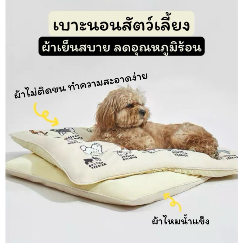 เบาะนอนสัตว์เลี้ยง สุนัข แมว นวัตกรรมผ้าเย็น ผ้าไหมน้ำแข็ง ช่วยคลายร้อน