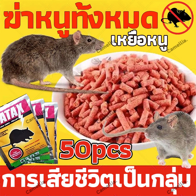 【ตาย 100%】ยาเบื่อหนู อาหารโปรดของหนู เหยื่อกำจัดหนู ยากําจัดหนู ยาฆ่าหนู การแก้ ปัญหาหนูเพียงครั้งเดียว
