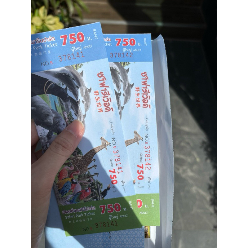 บัตรซาฟารีเวิลด์ safari world ticket  (รับเองใบละ 2โซน580 ล่องเรือ200 ขับรถผญ350/เด็ก300 🤩🤩ทักแชท) ใ