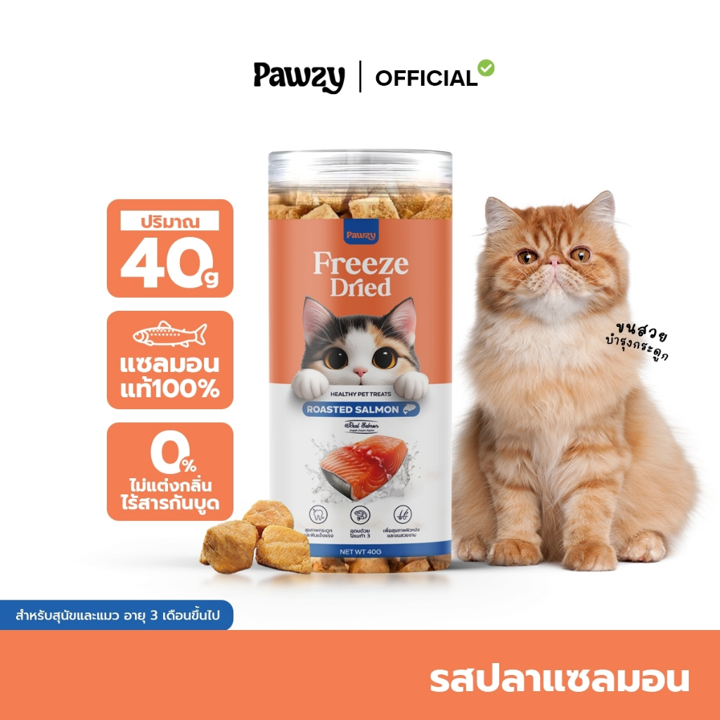 Pawzy แซลมอนฟรีซดราย Freeze Dried Roasted Salmon ขนมแมวฟรีซดราย ขนมแมว ขนมสุนัข แซลมอนเต๋าฟรีซดราย