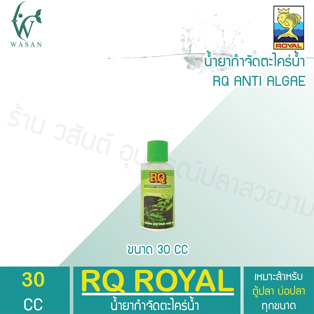 กำจัดตะไคร่น้ำเขียว RQ ANTI ALGAE ขนาด 250-1000 cc.
