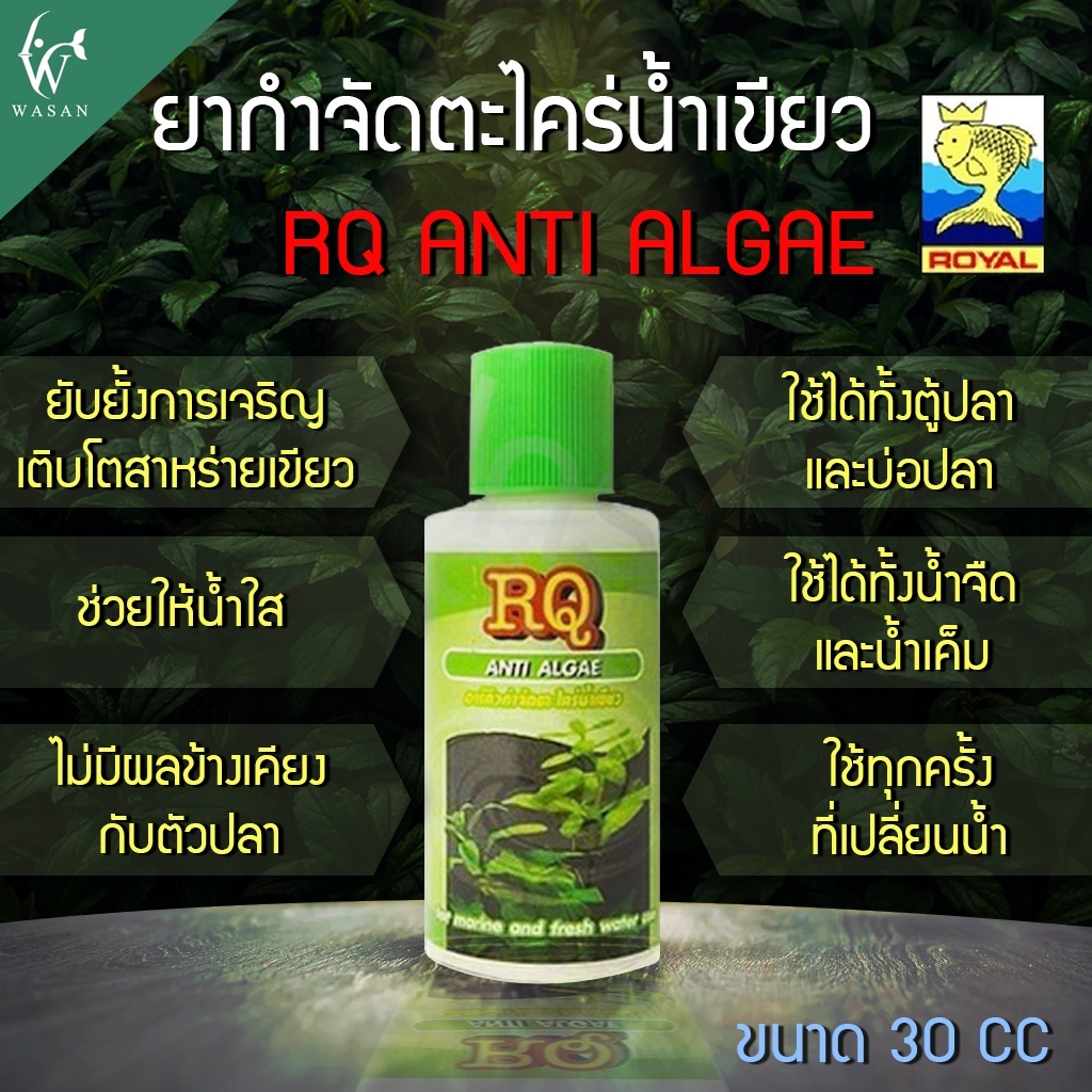 กำจัดตะไคร่น้ำเขียว RQ ANTI ALGAE 30 cc.