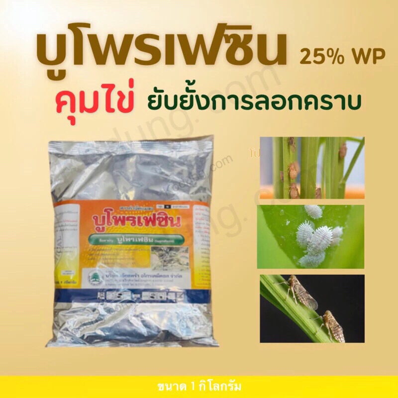 บูโพรเฟซิน25%เป็นสารยับยั้งการลอกคราบของแมลง ลดการวางไข่ -1 กิโลกรัม