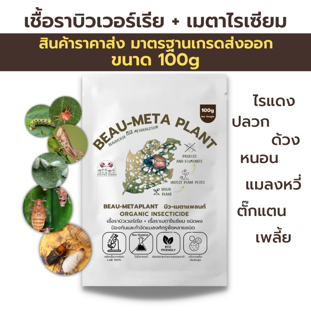 บิวเวอร์เรีย ผสม เมธาไรเซียม 100g กำจัดแมลงศัตรูพืชทุกชนิด ปลอดภัย ออร์แกนิคแท้100%