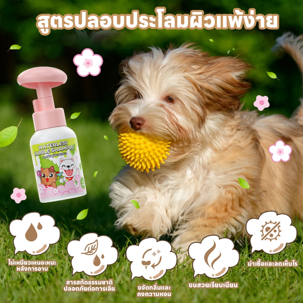 รูปภาพ 3