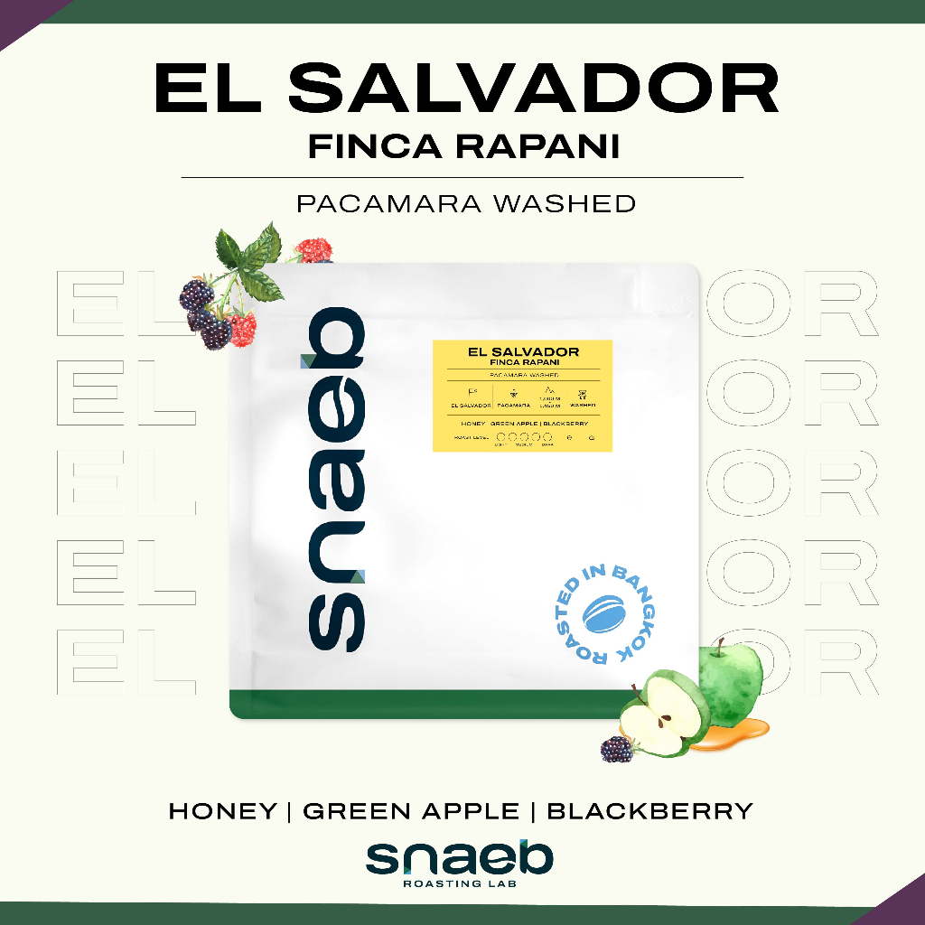 EL SALVADOR Finca Rapani Pacamara Washed | เมล็ดกาแฟคั่ว คั่วอ่อน Snaeb Coffee