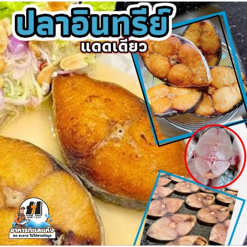 ปลาอินทรีย์ แดดเดียว นำไปทอด ไม่เค็ม ทำได้หลายเมนู ไม่มีสารกันบูดไม่ใส่สี [เก็บได้นานกว่า 2-3เดือน แพ็คสูญญากาศ