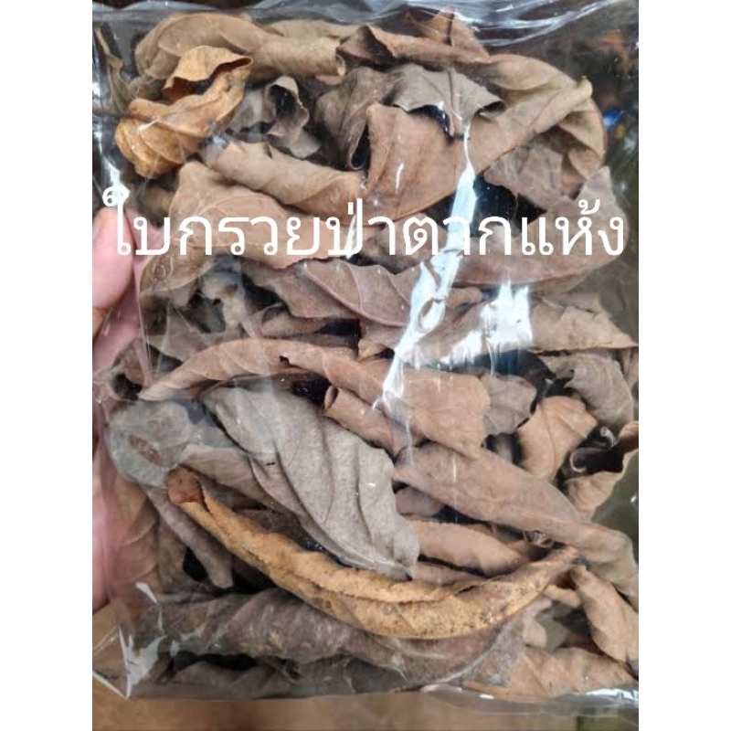 ใบกรวยป่า​ตากแห้ง​สำหรับหมักปลากัด