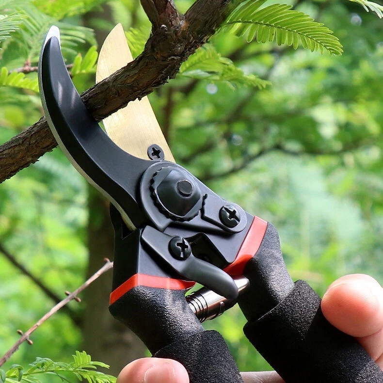 รูปภาพ 2