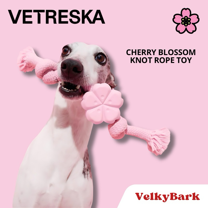 [พร้อมส่ง ] VETRESKA ของเล่นขัดฟันสุนัข เชือก+ยาง Cherry Blossom Knot Rope Toy