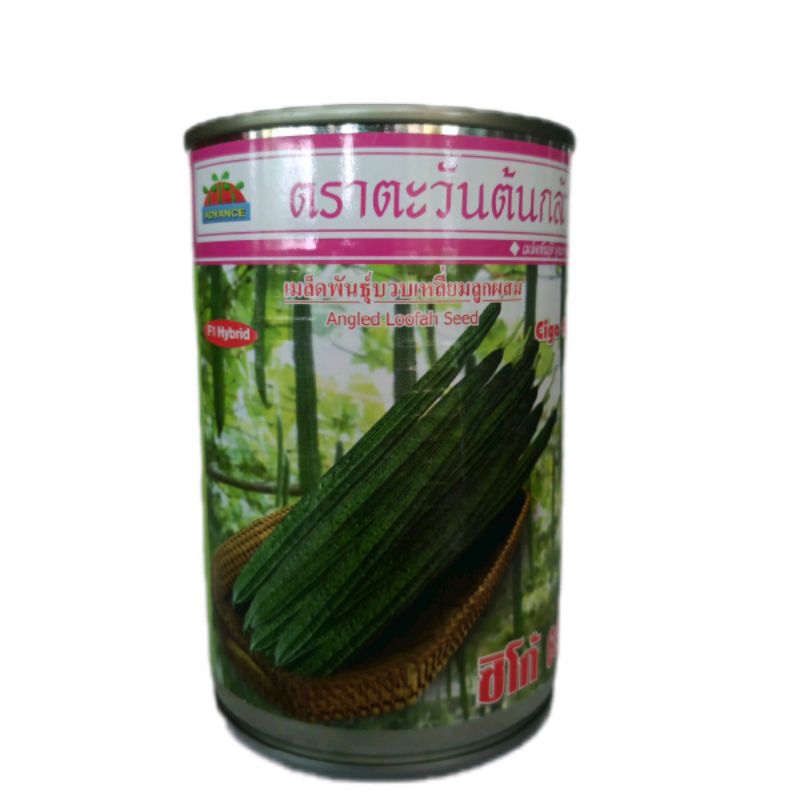 บวบเหลี่ยมซิโก้69 ตราตะวันต้นกล้า 50 กรัม
