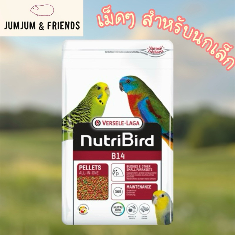 Versele-Laga NutriBird B14 อาหารนก (แบ่งขาย) ฟอพัส หงส์หยก