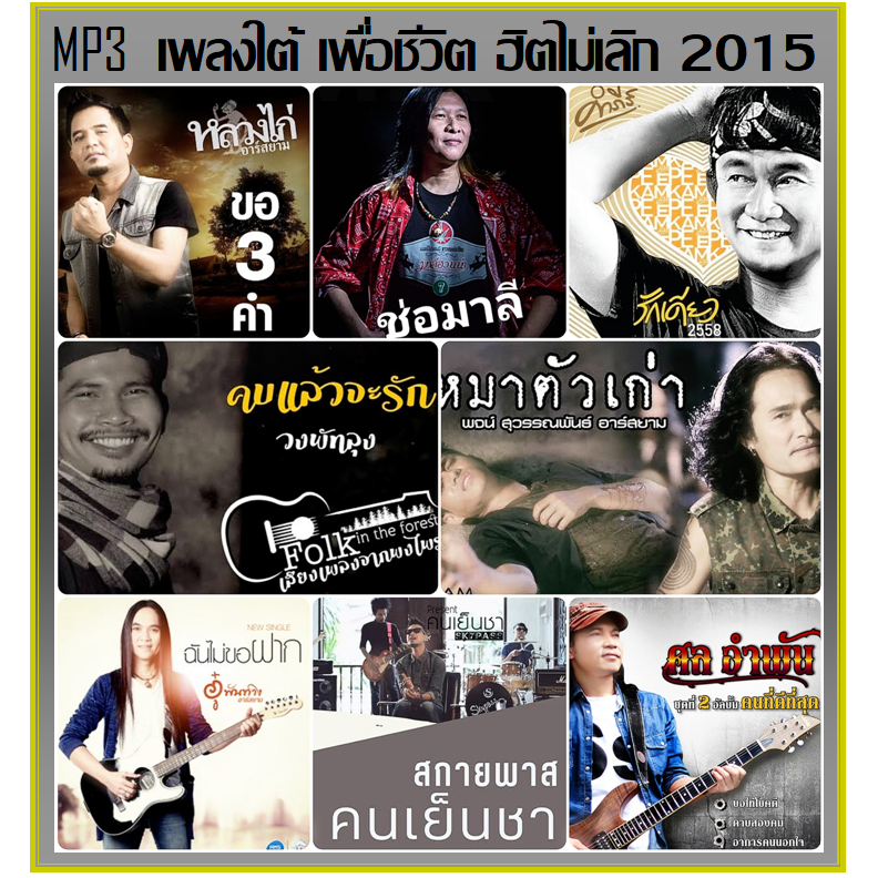 แฟลชไดร์ฟ-แผ่นซีดี mp3เพลงใต้ เพื่อชีวิต ฮิตไม่เลิก 2015 (178 เพลง) (รายชื่อเพลงตามปกหลัง-สไลด์รูปดูได้ค่ะ)