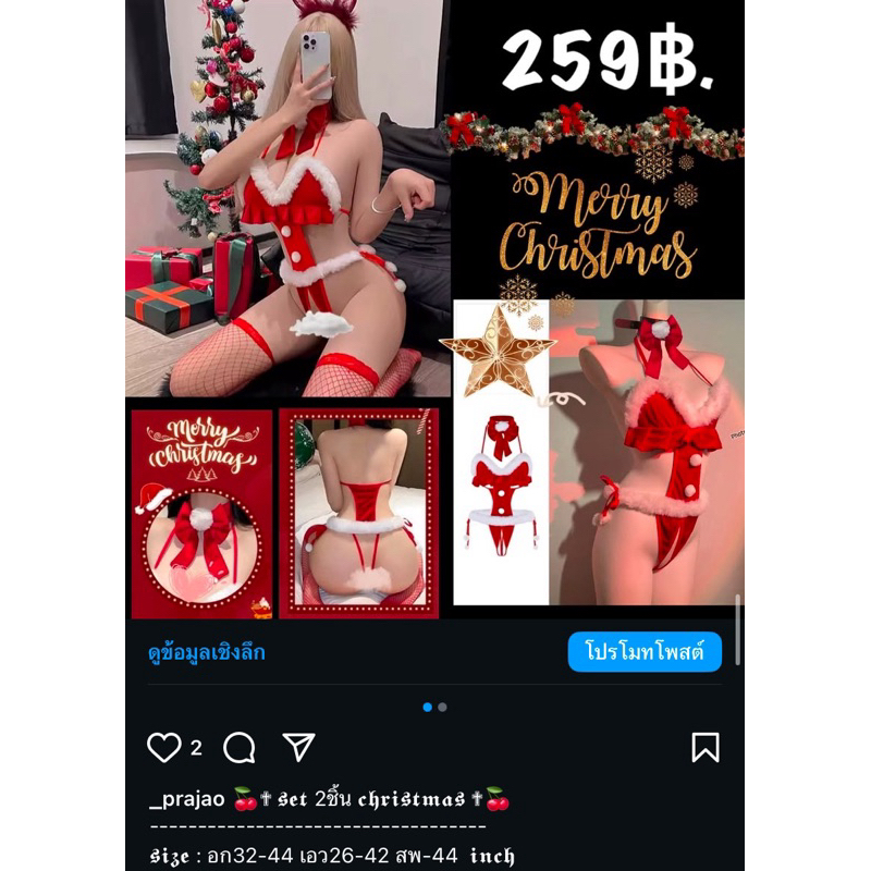 ชุดคริสต์มาสผู้ใหญ่ พร้อมส่งจากไทย