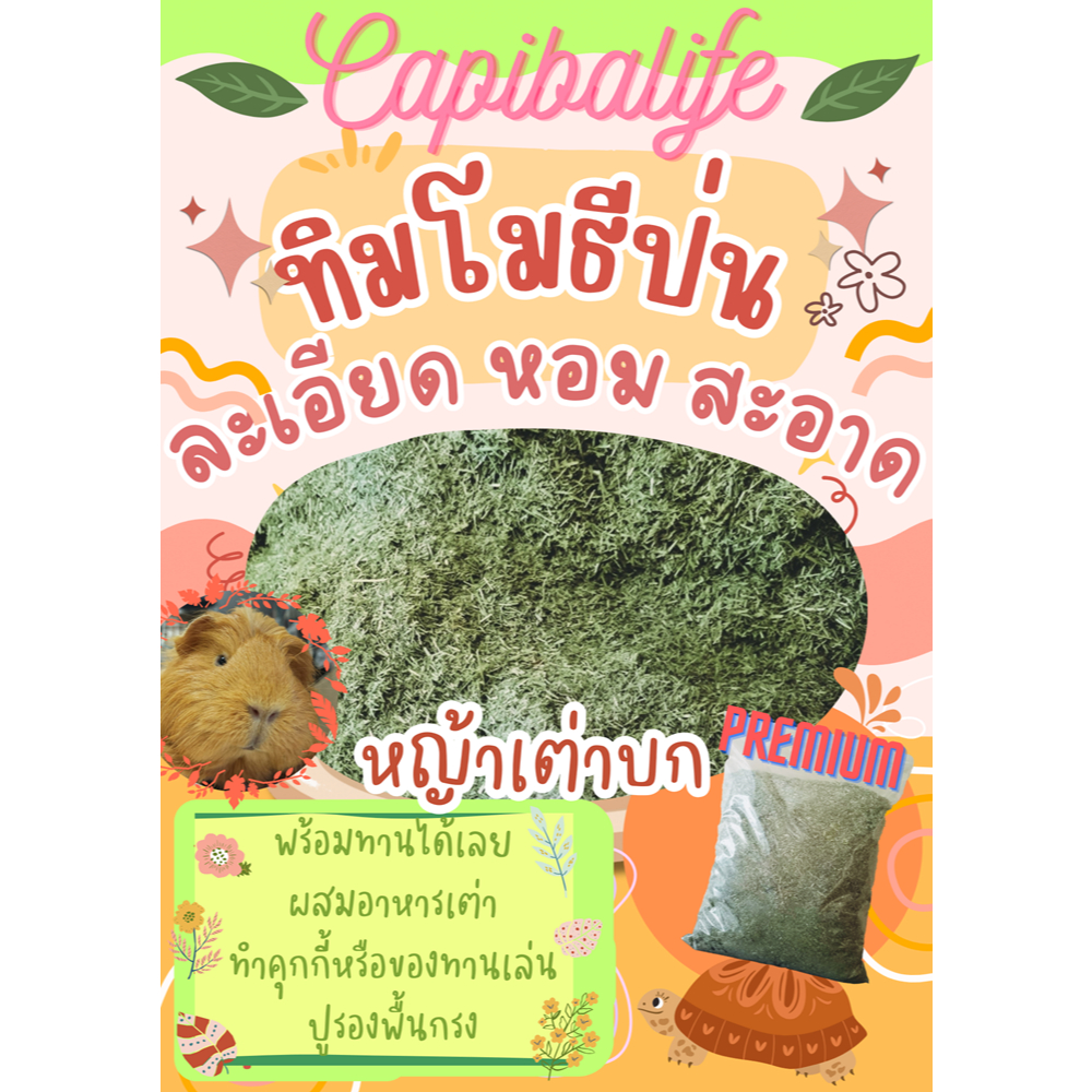 *หญ้าเต่าพร้อมส่ง* ทิมโมธีป่นละเอียดด้วยเครื่อง1KG หญ้าเต่าบกเต่าเล็กเต่าโต หอมละเอียดสะอาด ขนาดจุใจ
