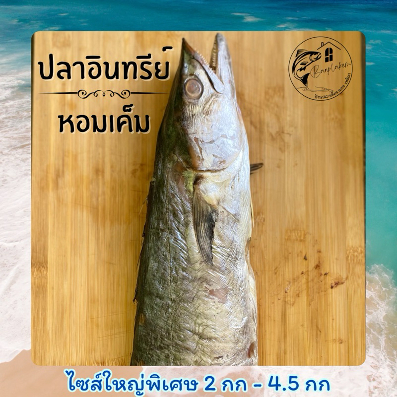 ปลาอินทรีย์หอมเค็ม ขนาด2-5กิโลต่อตัว ไซส์ใหญ่พิเศษ บริการหั่นชิ้น