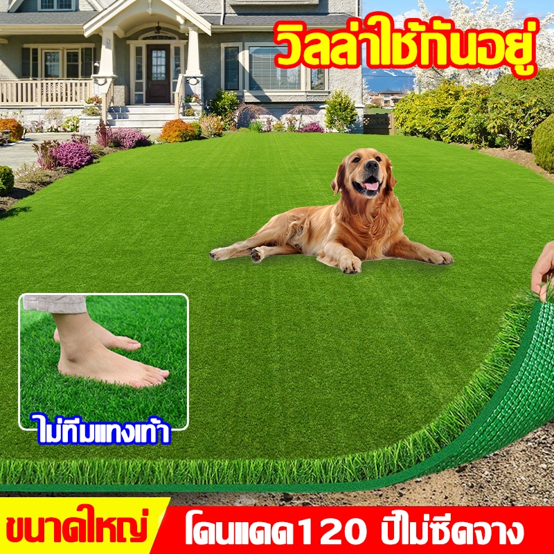 วิลล่าใช้กันอยู่ หญ้าเทียมปูพื้น สนามหญ้าเทียม หญ้าเทียมถูกๆ หญ้าปลอม แต่งสวน สนามหญ้า นุ่มนิ่ม ไม่ทิ่มมือ แถมมีด 3ซม