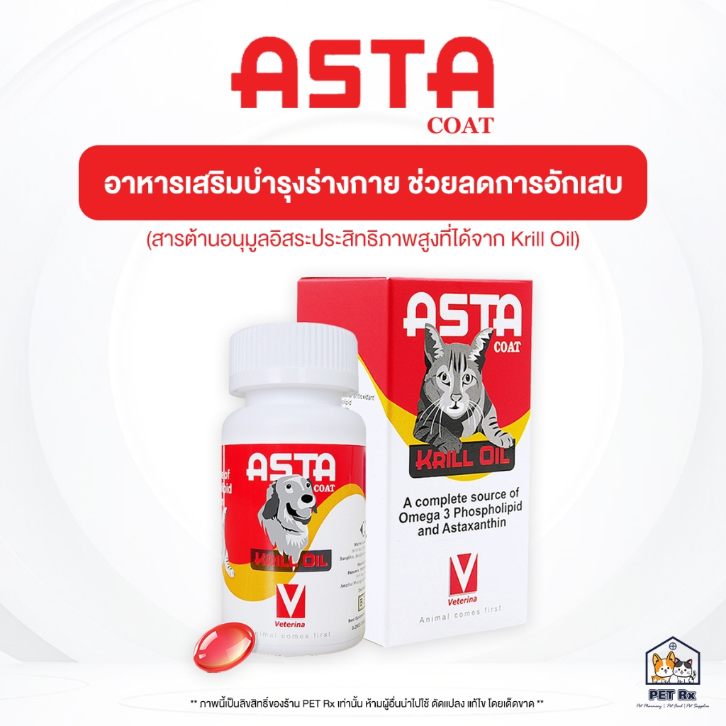 Asta Coat [แท้💯] อาหารเสริมบำรุงร่างกาย ช่วยลดการอักเสบ บำรุงข้อ/ขน/หัวใจ/สายตา/สมอง จาก Krill Oil คุณภาพสูง (AstaCoat)