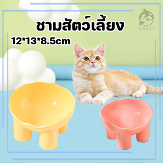 ชามกันมด แมว ชามอาหารแมว ชามอาหารสัตว์เลี้ยง ทรงเฉียง ชามอาห…