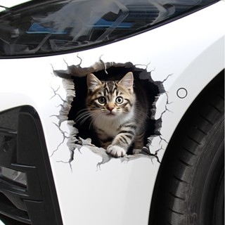 (ส่งจากไทย) สติกเกอร์แมวน่ารัก กันน้ํา ลายแมวตลก สติ๊กเกอร์ต…