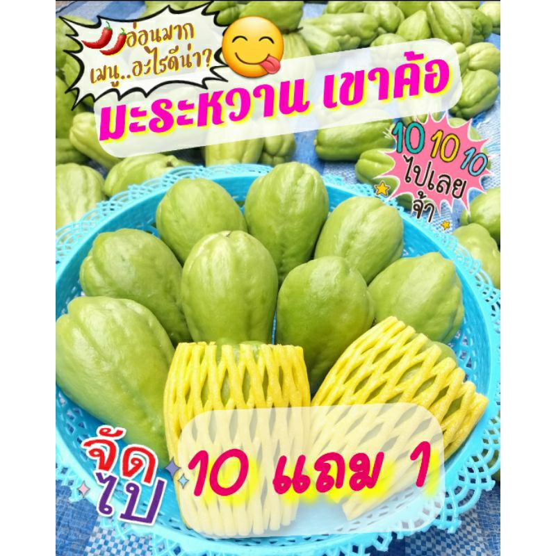 มะระหวาน เขาค้อ อ่อนมาก สดใหม่ทุกออเดอร์ เซต10ลูกแถม 1ลูก
