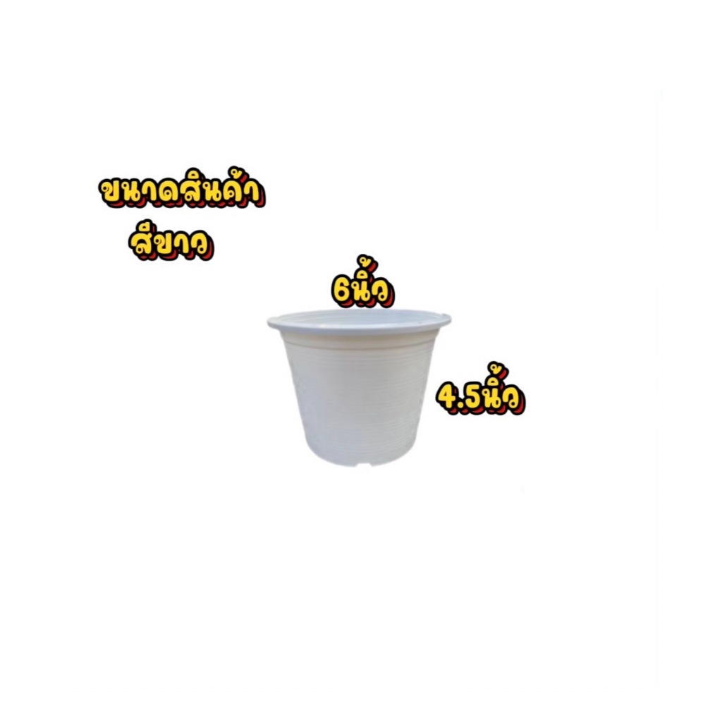 [กระถางราคาถูก] พร้อมส่ง กระถางต้นไม้พลาสติกสีดำ 4 นิ้ว 5.5 นิ้ว 6 นิ้ว 8 นิ้ว 10 นิ้ว - รูปที่ 3