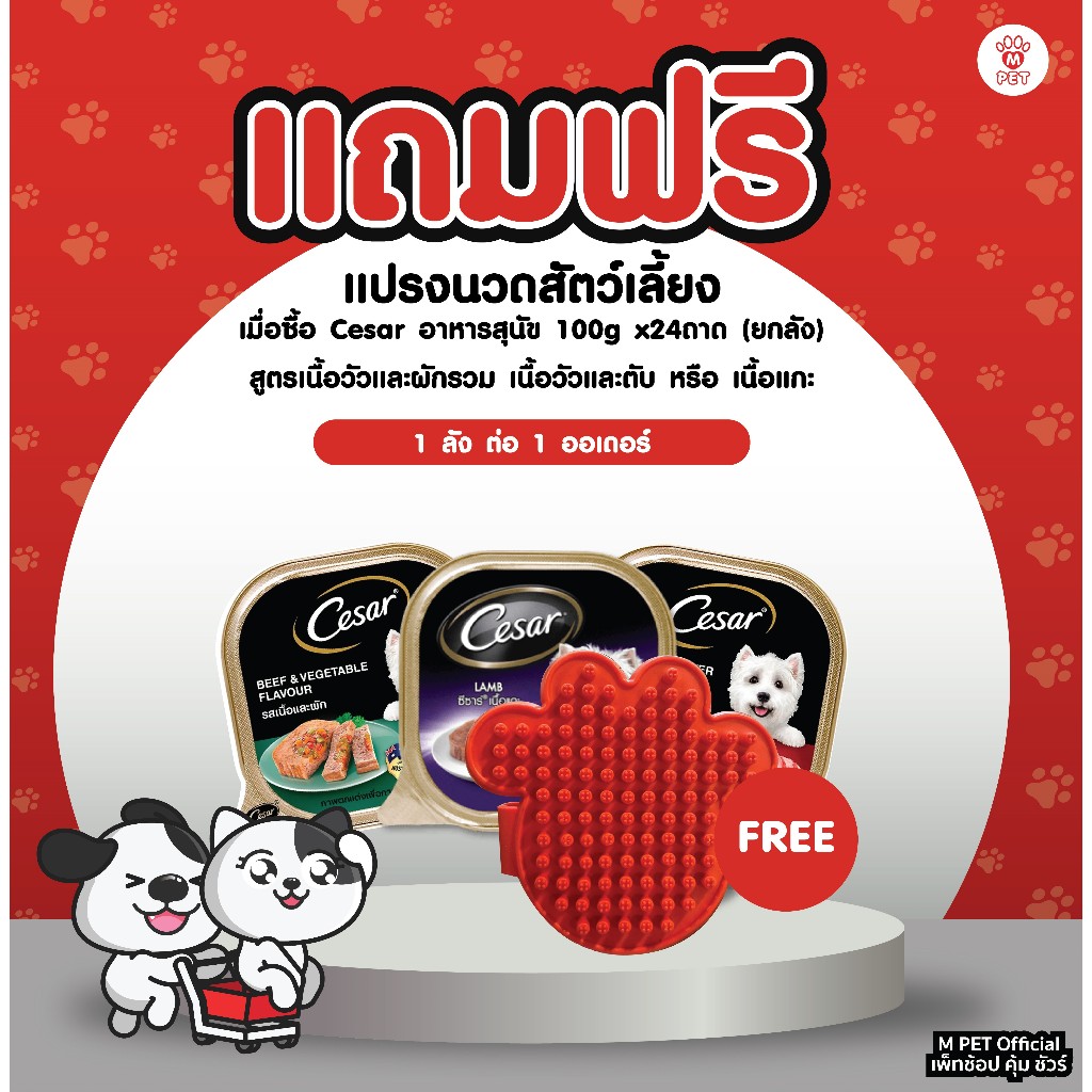 [M PET] สินค้าสมนาคุณ (งดจำหน่าย) แปรงซิลิโคน นวดสัตว์เลี้ยง ผ่อนคลาย 1 ชิ้น