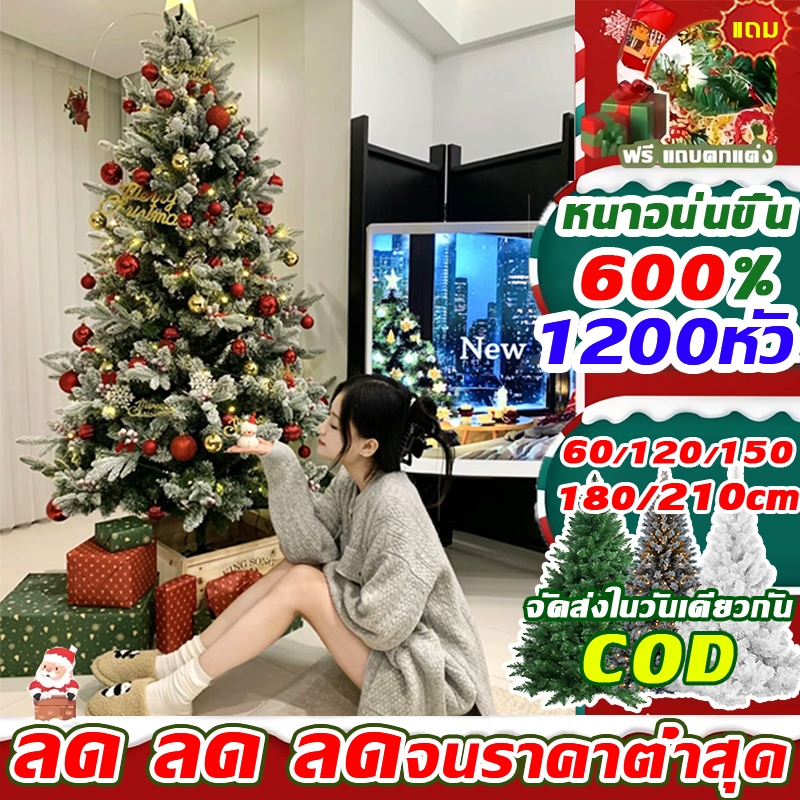 พร้อมส่ง ต้นคริสต์มาส ขนาด 60-210 cm ต้นไม้ตกแต่งบ้านต้นคริสต์มาสDIY ตกแต่งบ้าน PVC ของแต่งคริสมาส Christmas Tree