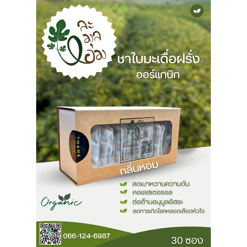 ชาใบมะเดื่อฝรั่ง หอมละมุล Organic (1กล่องมี 30 ชิ้น)กลิ่นหอมเป็นเอกลักษณ์