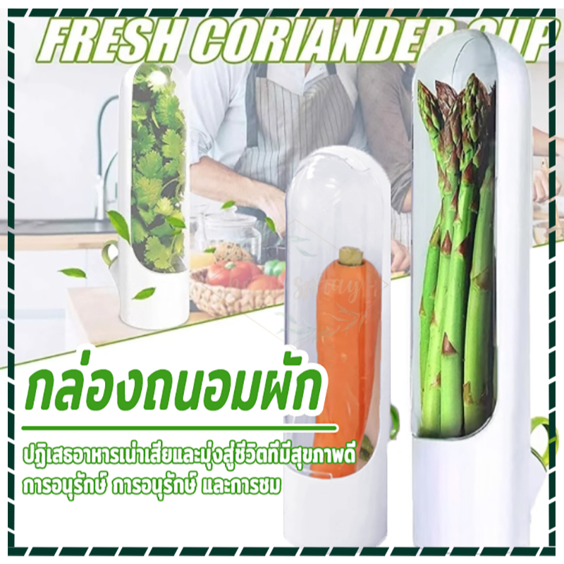 กล่องถนอมผัก ถ้วยเก็บผักสด จัดเก็บผักได้สะดวก ป้องกันการเน่า และรับประทานผักสดที่ดีต่อสุขภาพ