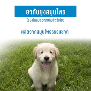 Herbguard ยากันยุงสมุนไพร(แพ็คสุดคุ้ม) Size XL