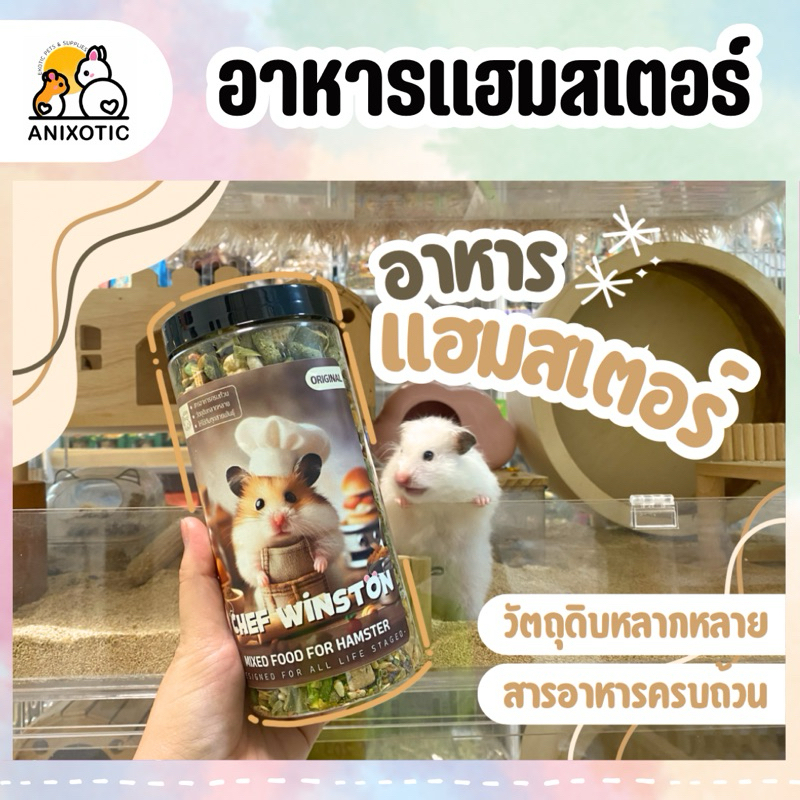 อาหารแฮมสเตอร์ หนูแฮมสเตอร์