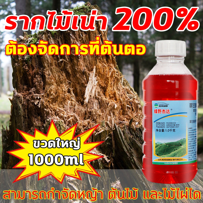 รากเน่าเสีย100ปี ยาฆ่าต้นไม้ใหญ่ 1000ML เข้มข้นมาก สารกําจัดกอไผ่ รากเน่ารากไม่ขึ้นอีก ยาฆ่ากอไผ่ ยาฆ่าตอไม้ ยาฆ่าหญ้า