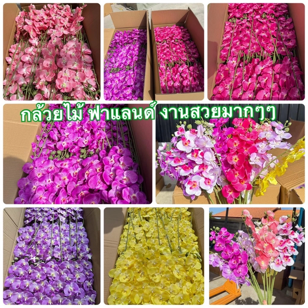 ดอกกล้วยไม้ กล้วยไม้ ฟาแลนด์ กล้วยไม้ประดิษฐ์ กล้วยไม้ผ้า9ดอก งานพลีเมี่ยมอย่างดี พร้อมส่งจากไทย