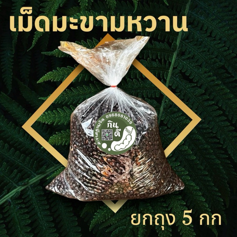 เม็ดมะขามสำหรับปลูก หรือคั่ว 5 กิโลกรัม เม็ดมะขามหวานพันธุ์สีชมพู