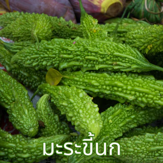 ชามะระขี้นก ตราไร่กฤติยา (Bitter Melon Tea)