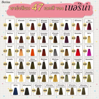 Berina Hair Color เบอริน่า สีย้อมผม ครีมเปลี่ยนสีผม มีให้เลือก 47 สี