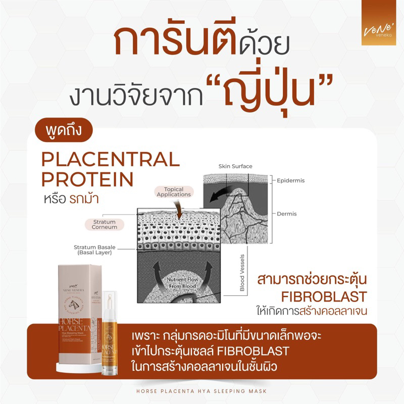 สลีปปิ้งมาร์กรกม้าไฮยา Horse placenta mask กู้หน้าโทรมเร่งด่วน หน้าเด้งฟูใน1คืน Sleeping mask รูปที่ 7