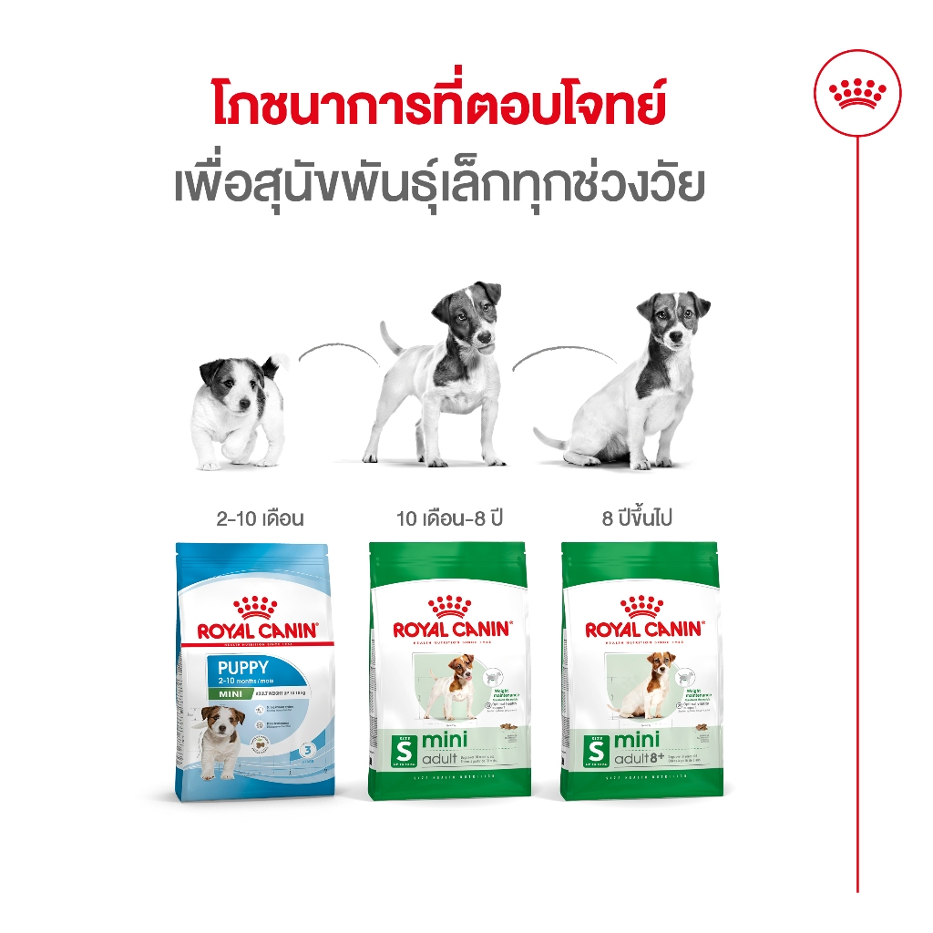 [หมดอายุ 1/27] Royal canin Mini adult 4 Kg อาหารสุนัขโตพันธุ์เล็ก 10 เดือน - 8 ปี - รูปที่ 5